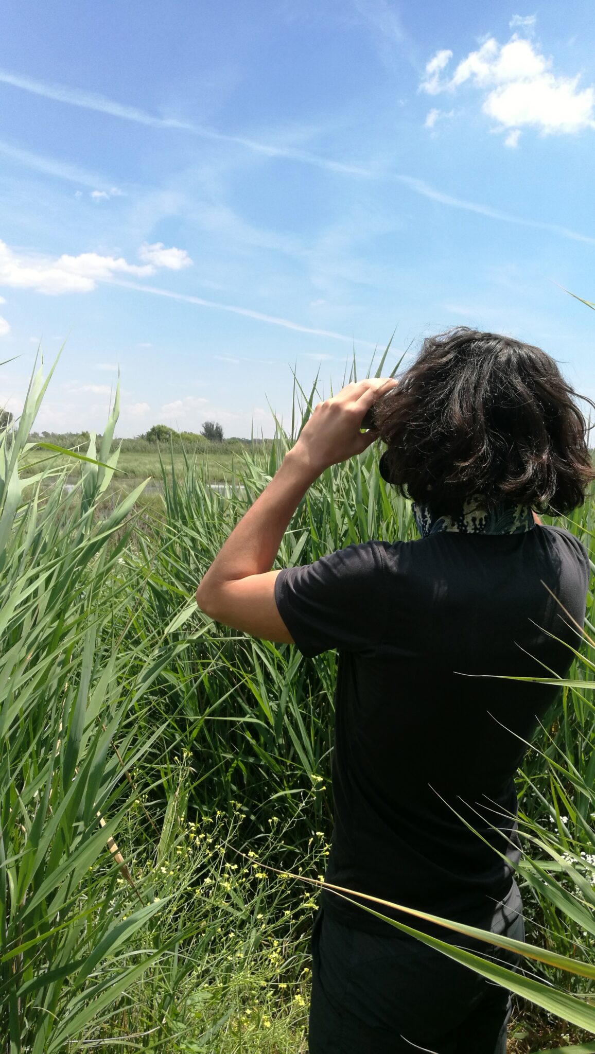 Forum – Conservation experiences, evidence, and opinions: Conservation ...